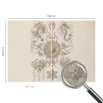 Fototapete fürs Schlafzimmer Unterwasserwelt