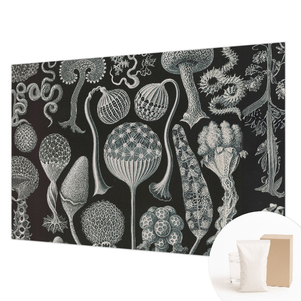 Fototapete aus Vlies Magische Pflanzen