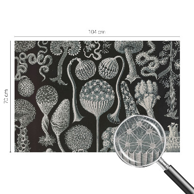 Fototapete aus Vlies Magische Pflanzen