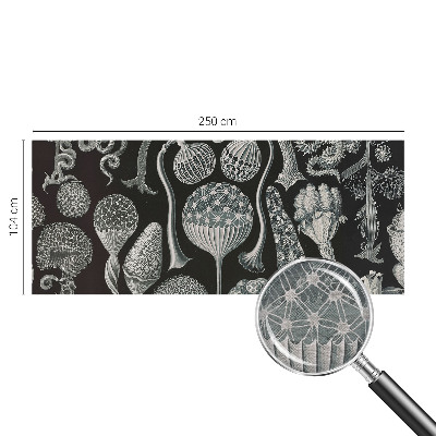 Fototapete aus Vlies Magische Pflanzen