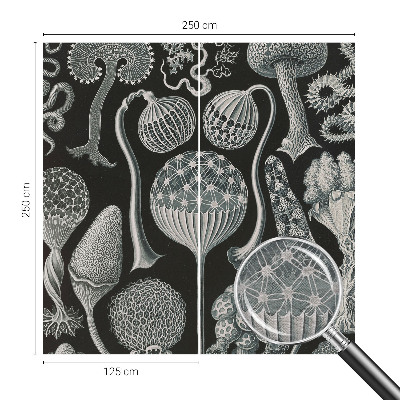 Fototapete aus Vlies Magische Pflanzen