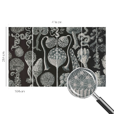 Fototapete aus Vlies Magische Pflanzen