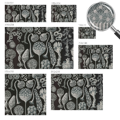 Fototapete aus Vlies Magische Pflanzen