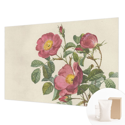 Vlies-Fototapete nach Maß mit Rosenmotiv