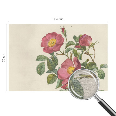 Vlies-Fototapete nach Maß mit Rosenmotiv