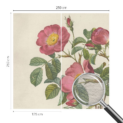 Vlies-Fototapete nach Maß mit Rosenmotiv