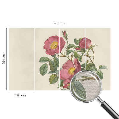Vlies-Fototapete nach Maß mit Rosenmotiv