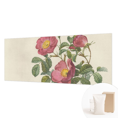 Vlies-Fototapete nach Maß mit Rosenmotiv