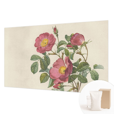 Vlies-Fototapete nach Maß mit Rosenmotiv