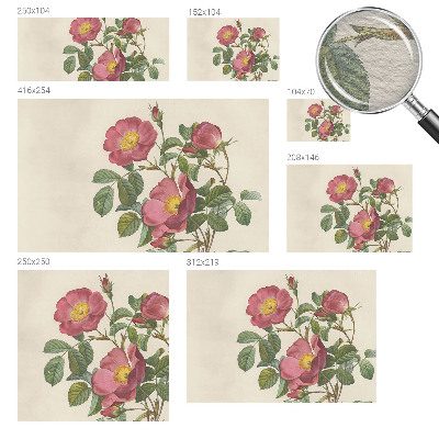 Vlies-Fototapete nach Maß mit Rosenmotiv