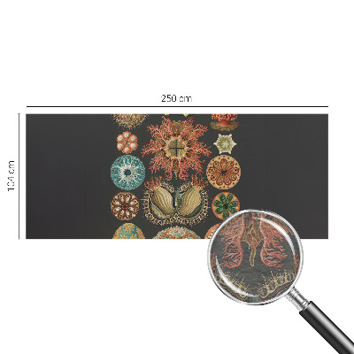 Fototapete aus Vlies Inspirationen aus dem Meer