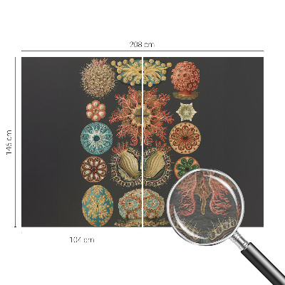 Fototapete aus Vlies Inspirationen aus dem Meer