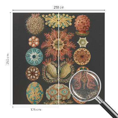 Fototapete aus Vlies Inspirationen aus dem Meer