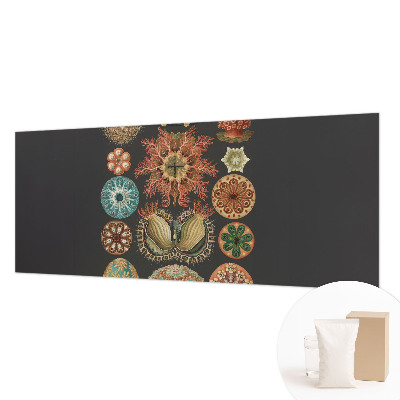 Fototapete aus Vlies Inspirationen aus dem Meer