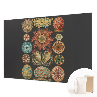 Fototapete aus Vlies Inspirationen aus dem Meer