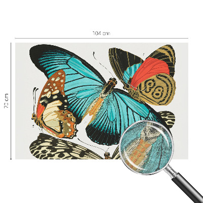 Vliestapete fürs Wohnzimmer Bunte Schmetterlinge