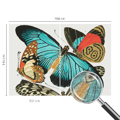 Vliestapete fürs Wohnzimmer Bunte Schmetterlinge