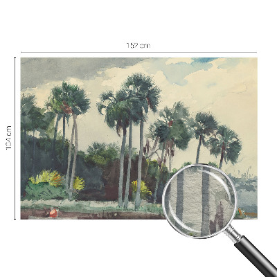 Moderne Vlies-Fototapete mit exotischem Palmenmotiv