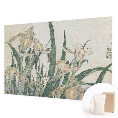 Bedruckte Vlies-Fototapete Zarte Schwertlilien