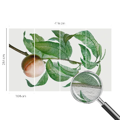 Fototapete nach Maß Reifer Pfirsich