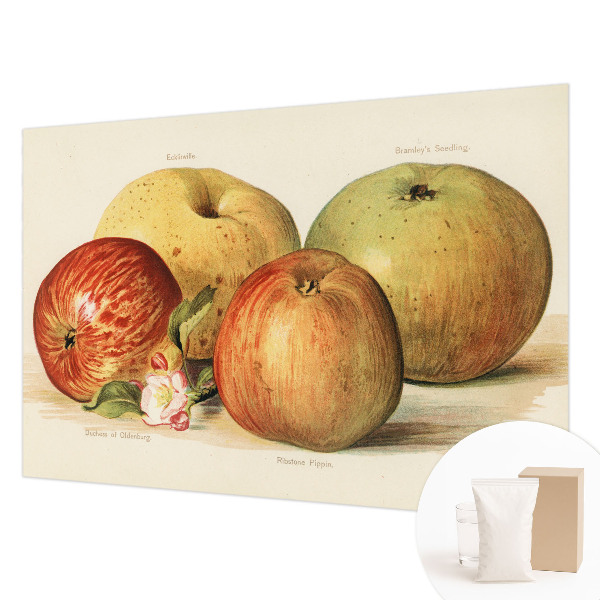 Bedruckte Vlies-Fototapete Apfelblüten