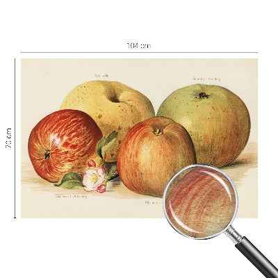 Bedruckte Vlies-Fototapete Apfelblüten