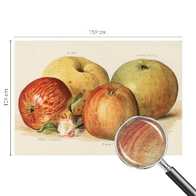 Bedruckte Vlies-Fototapete Apfelblüten