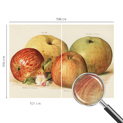 Bedruckte Vlies-Fototapete Apfelblüten