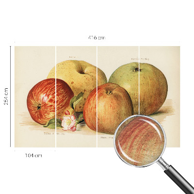 Bedruckte Vlies-Fototapete mit Apfelblütenmuster