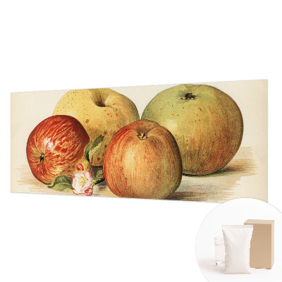 Bedruckte Vlies-Fototapete Apfelblüten