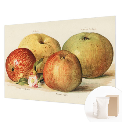 Bedruckte Vlies-Fototapete Apfelblüten