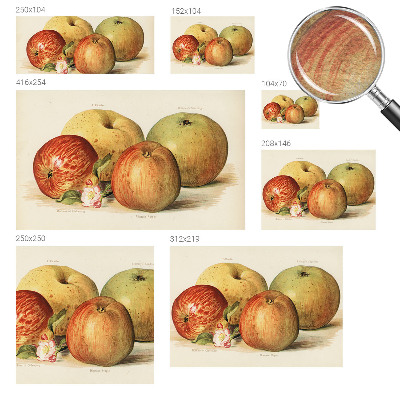 Bedruckte Vlies-Fototapete Apfelblüten