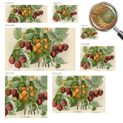 Moderne Vlies-Fototapete Klassische Himbeeren