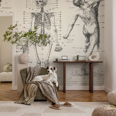 Fototapete mit klassischer Darstellung der Anatomie