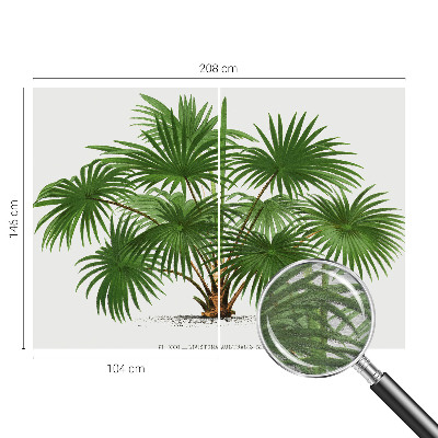 Fototapete aus Vlies Exotisches Muster