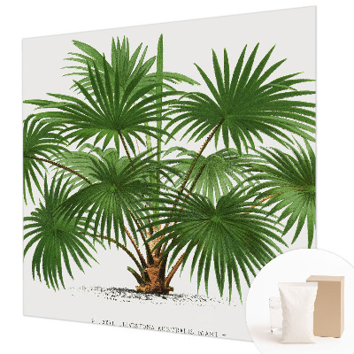 Fototapete aus Vlies Exotisches Muster