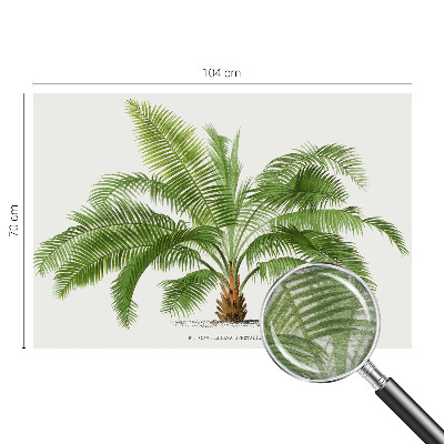 Vlies-Fototapete nach Maß mit glänzendem Palmenmotiv