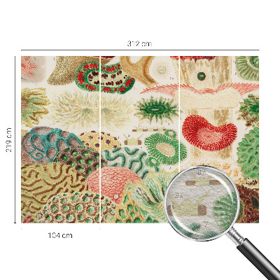 Vlies-Fototapete fürs Schlafzimmer Organische Formen