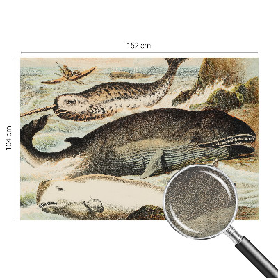 Fototapete fürs Schlafzimmer Meeresriesen