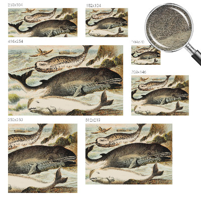 Fototapete fürs Schlafzimmer Meeresriesen