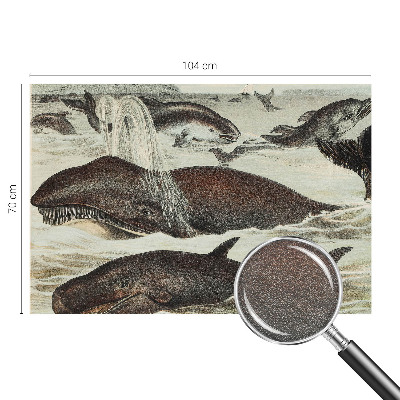 Fototapete fürs Kinderzimmer Meerestiere