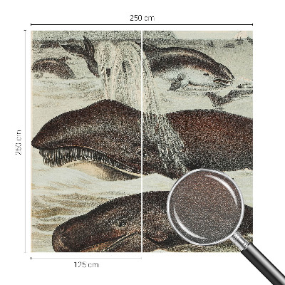 Fototapete fürs Kinderzimmer Meerestiere