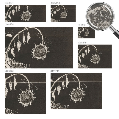 Vlies-Fototapete nach Maß mit nostalgischem Sonnenblumenmotiv