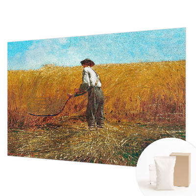 Vlies-Fototapete fürs Kinderzimmer Ernte in der Sonne