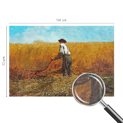 Vlies-Fototapete fürs Kinderzimmer Ernte in der Sonne