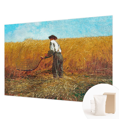 Vlies-Fototapete fürs Kinderzimmer Ernte in der Sonne