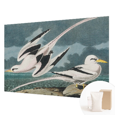 Fototapete fürs Wohnzimmer mit Motiv „Vögel am Meer“