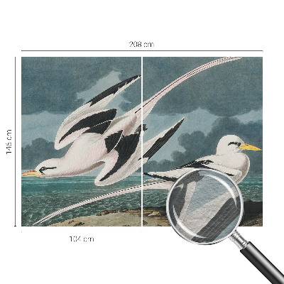 Fototapete fürs Wohnzimmer mit Motiv „Vögel am Meer“