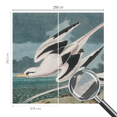 Fototapete fürs Wohnzimmer mit Motiv „Vögel am Meer“