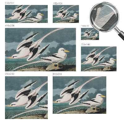 Fototapete fürs Wohnzimmer mit Motiv „Vögel am Meer“